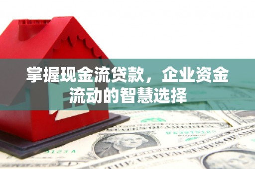 海原掌握现金流贷款，企业资金流动的智慧选择
