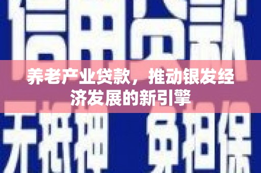勐海养老产业贷款，推动银发经济发展的新引擎