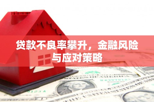 宜章贷款不良率攀升，金融风险与应对策略