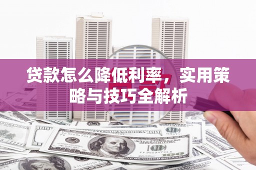 阳新贷款怎么降低利率，实用策略与技巧全解析