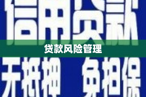 麻山贷款风险管理