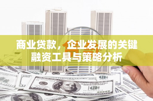 康保商业贷款，企业发展的关键融资工具与策略分析