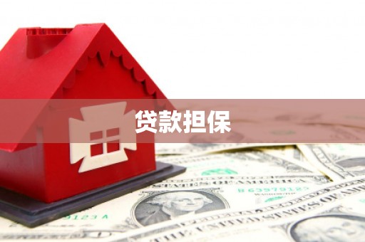 盐津贷款担保