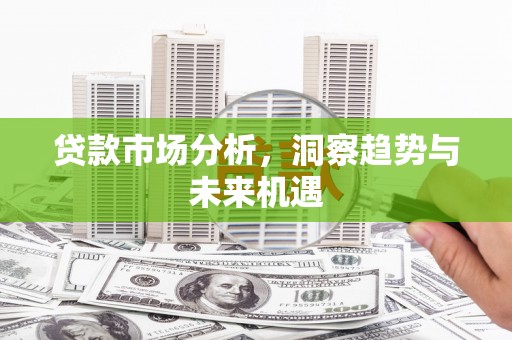 苍南贷款市场分析，洞察趋势与未来机遇