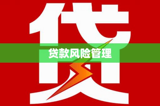 市中区贷款风险管理