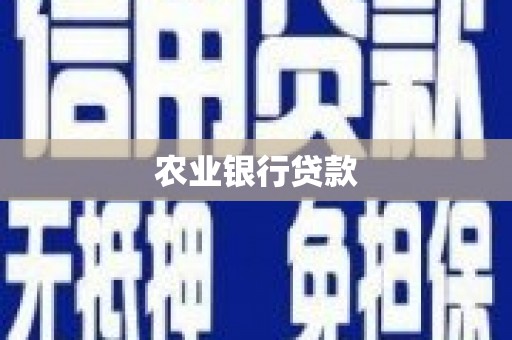 头屋农业银行贷款