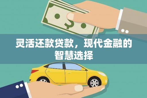 麻豆灵活还款贷款，现代金融的智慧选择