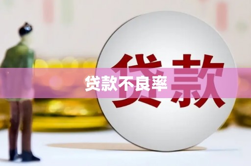 漳县贷款不良率