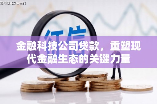 芦淞金融科技公司贷款，重塑现代金融生态的关键力量