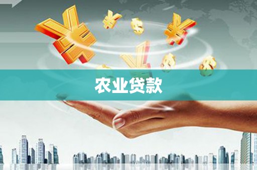 崇左农业贷款