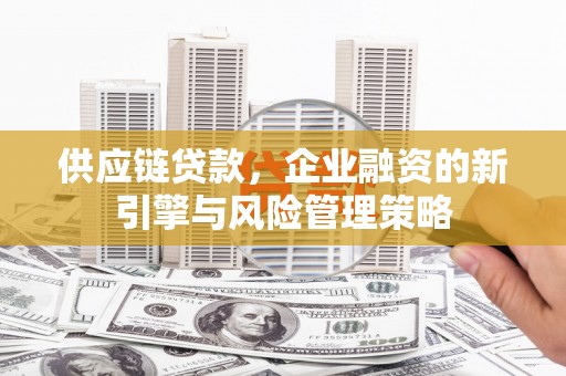 海安供应链贷款，企业融资的新引擎与风险管理策略