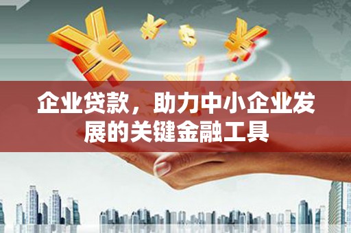 双清企业贷款，助力中小企业发展的关键金融工具