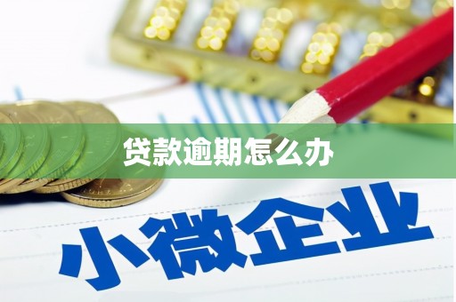 北区贷款逾期怎么办