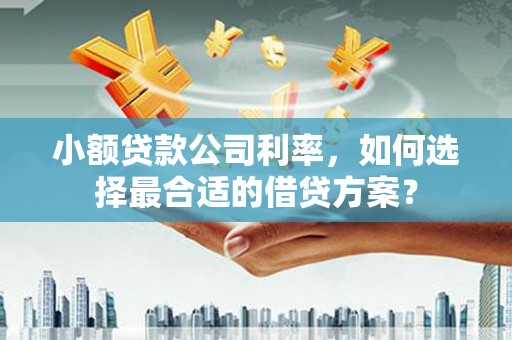 金堂小额贷款公司利率，如何选择最合适的借贷方案？