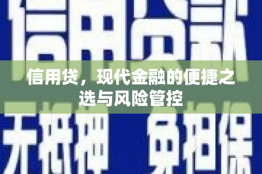 内埔信用贷，现代金融的便捷之选与风险管控