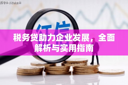 汾阳税务贷助力企业发展，全面解析与实用指南