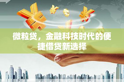 四湖微粒贷，金融科技时代的便捷借贷新选择