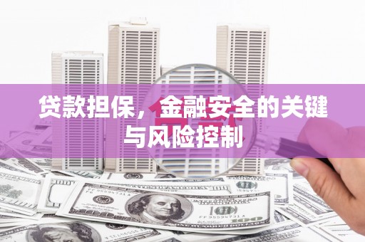 陵城贷款担保，金融安全的关键与风险控制