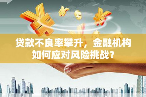 金昌贷款不良率攀升，金融机构如何应对风险挑战？