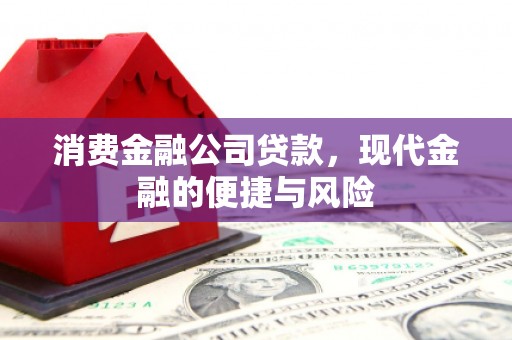 固阳消费金融公司贷款，现代金融的便捷与风险