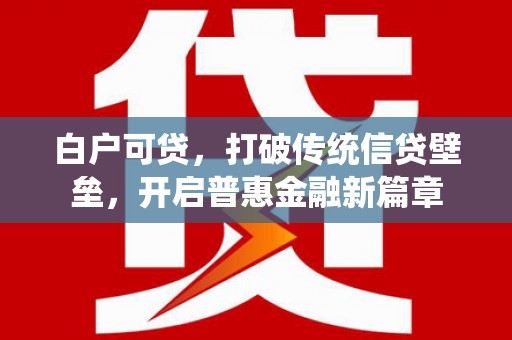 中卫白户可贷，打破传统信贷壁垒，开启普惠金融新篇章