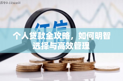奎文个人贷款全攻略，如何明智选择与高效管理