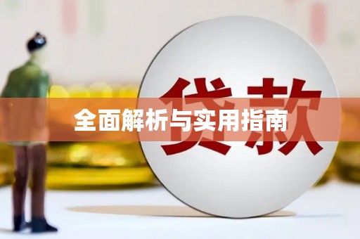 巧家全面解析与实用指南