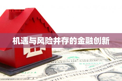 马边机遇与风险并存的金融创新