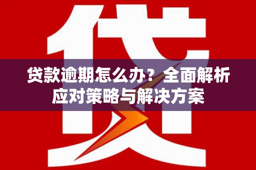 新洲贷款逾期怎么办？全面解析应对策略与解决方案