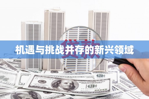 民权机遇与挑战并存的新兴领域