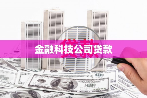 咸丰金融科技公司贷款