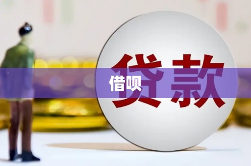 武夷山借呗