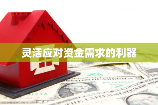 靖边灵活应对资金需求的利器