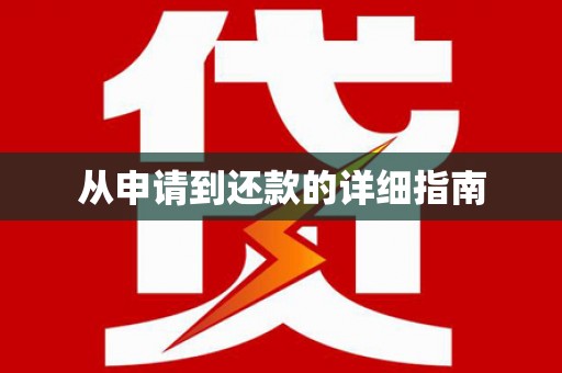 巧家从申请到还款的详细指南
