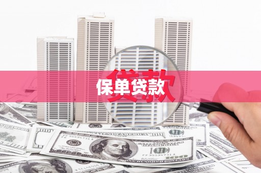 分宜保单贷款 分宜保单贷款